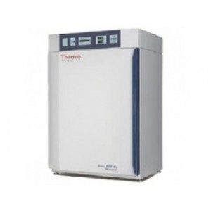 CO2 Инкубатор Thermo 8000 WJ 3429 (184 л, водяная рубашка, ТС-датчик)